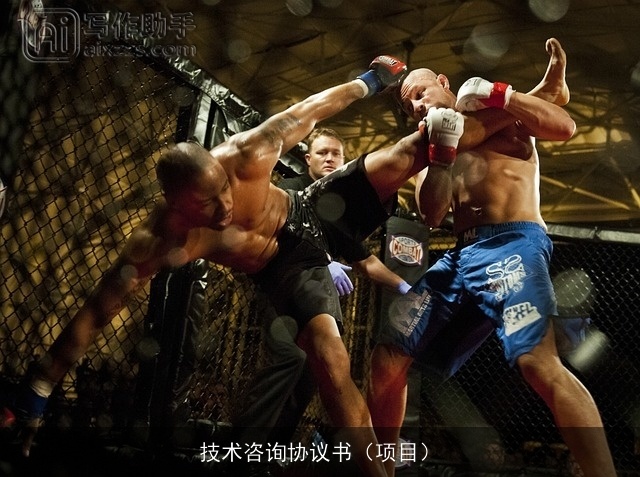 技术咨询协议书（项目）