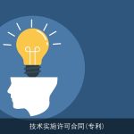 技术实施许可合同(专利)