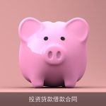投资贷款借款合同