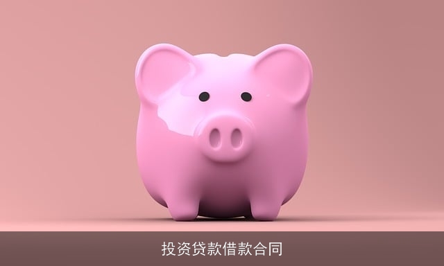 投资贷款借款合同