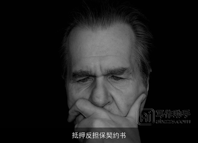 抵押反担保契约书