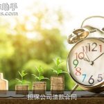 担保公司借款合同