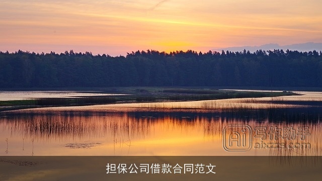 担保公司借款合同范文