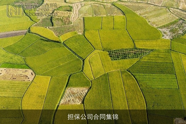 担保公司合同集锦