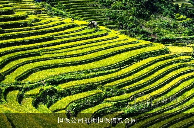 担保公司抵押担保借款合同