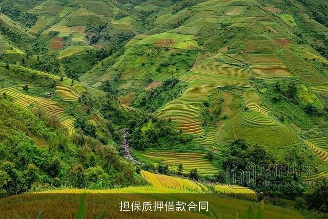 担保质押借款合同