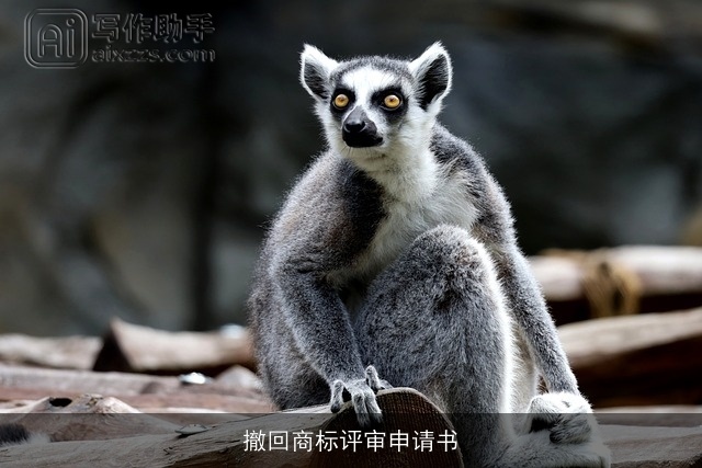 撤回商标评审申请书