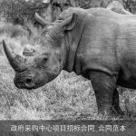 政府采购中心项目招标合同_合同范本