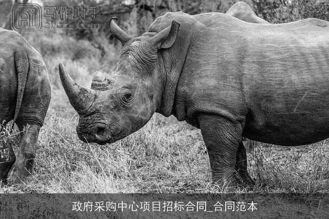 政府采购中心项目招标合同_合同范本