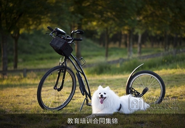 教育培训合同集锦