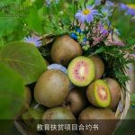 教育扶贫项目合约书
