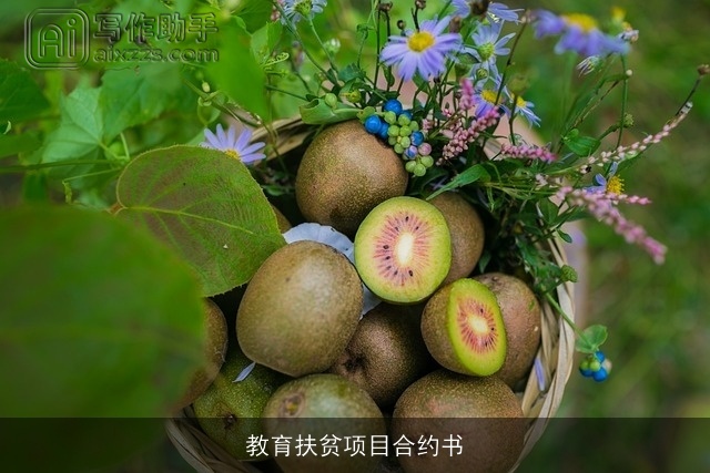教育扶贫项目合约书
