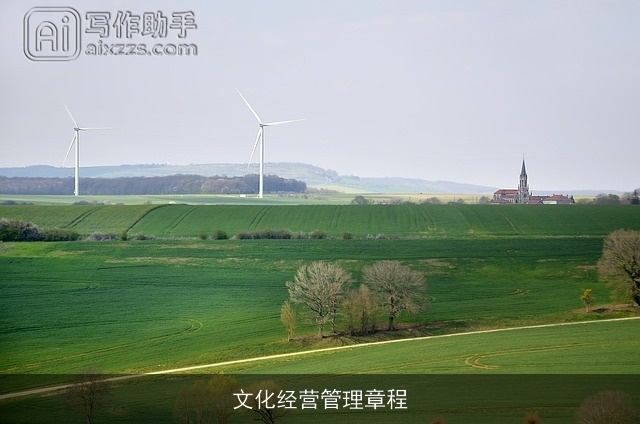 文化经营管理章程