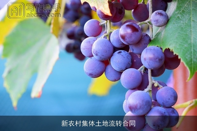 新农村集体土地流转合同