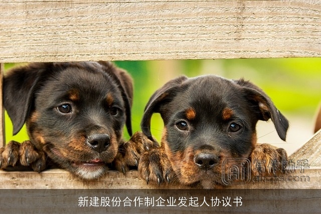 新建股份合作制企业发起人协议书
