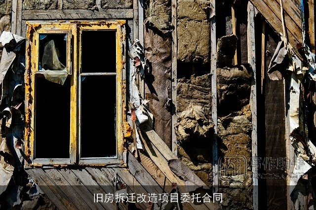 旧房拆迁改造项目委托合同