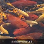 最新鱼塘承包合同范本