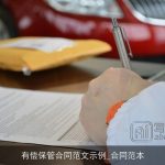 有偿保管合同范文示例_合同范本