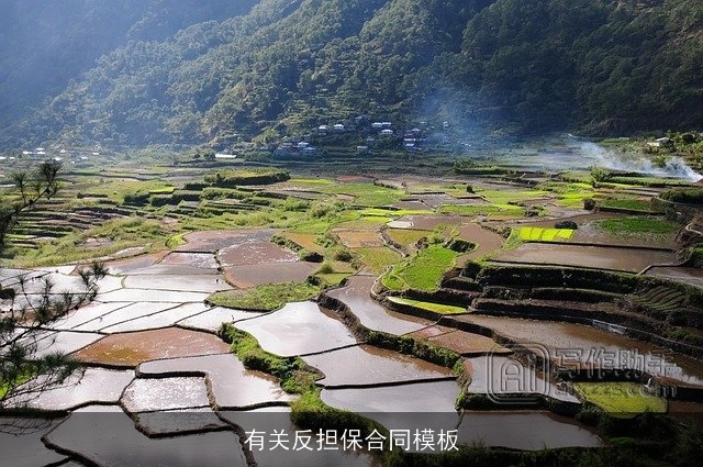 有关反担保合同模板