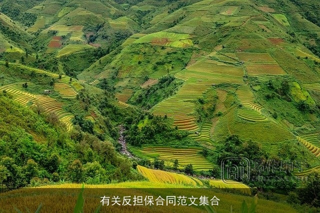 有关反担保合同范文集合