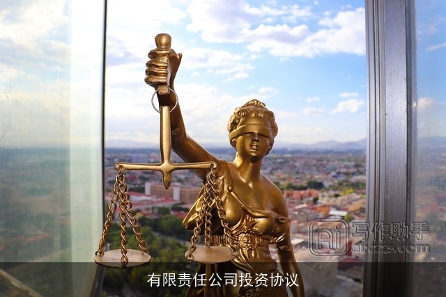 有限责任公司投资协议