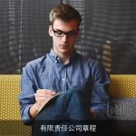 有限责任公司章程
