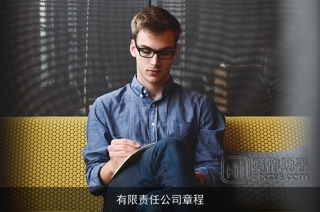 有限责任公司章程