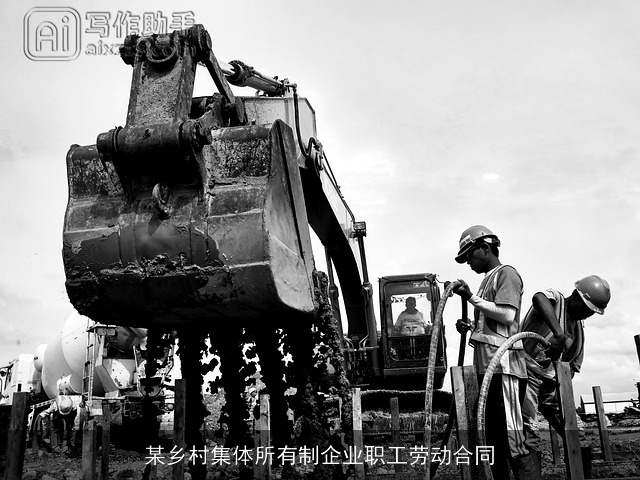 某乡村集体所有制企业职工劳动合同