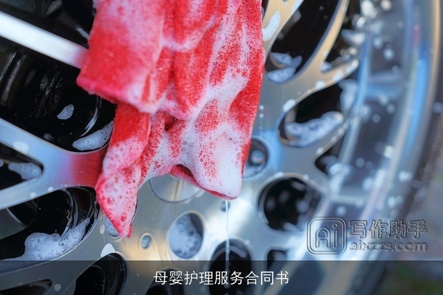 母婴护理服务合同书