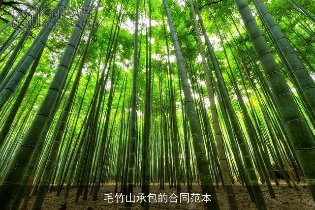 毛竹山承包的合同范本