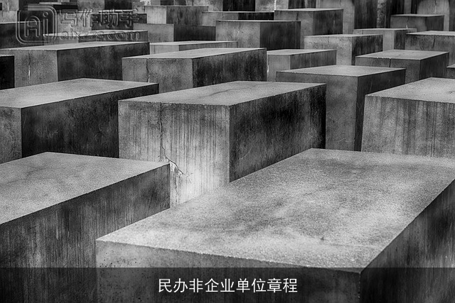 民办非企业单位章程