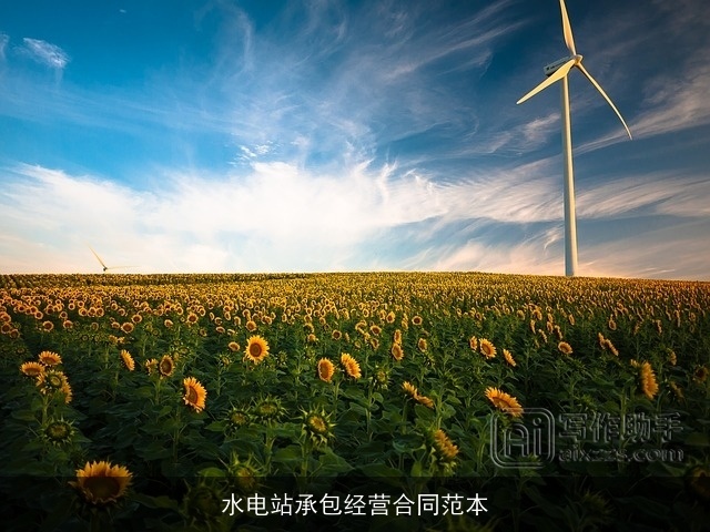 水电站承包经营合同范本