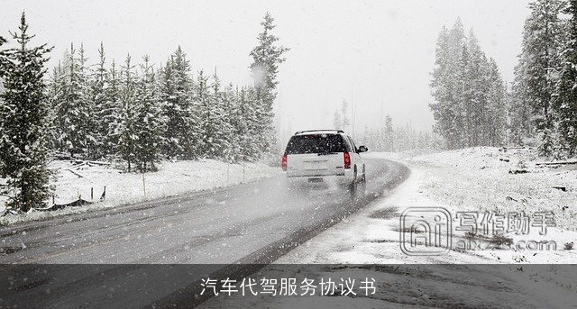 汽车代驾服务协议书
