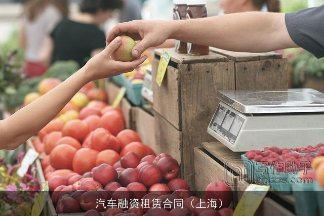 汽车融资租赁合同（上海）