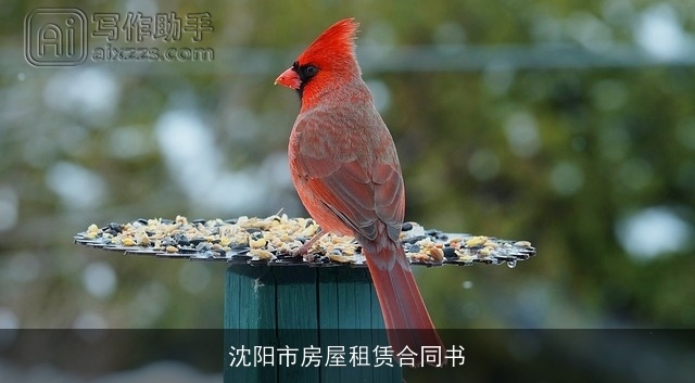 沈阳市房屋租赁合同书