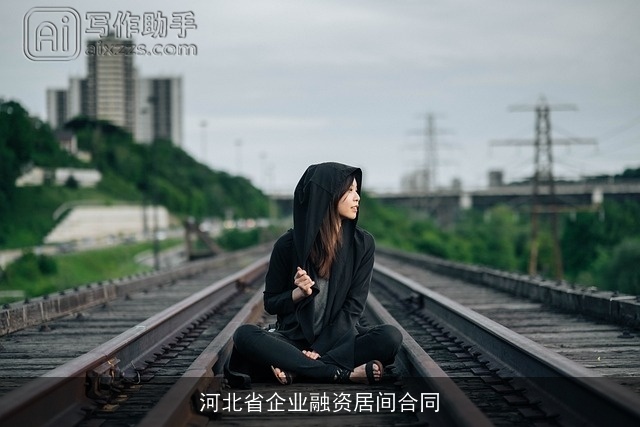 河北省企业融资居间合同