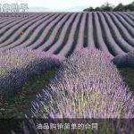 油品购销简单的合同