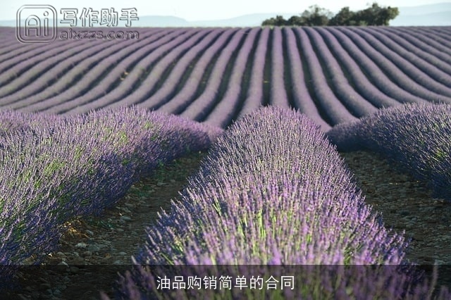 油品购销简单的合同