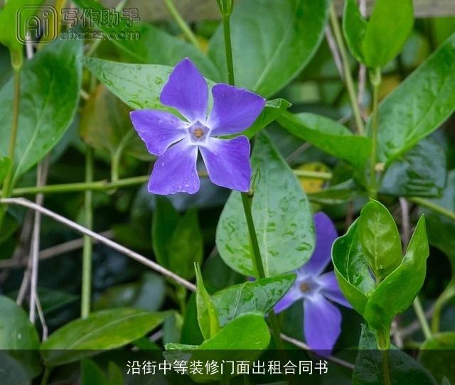 沿街中等装修门面出租合同书