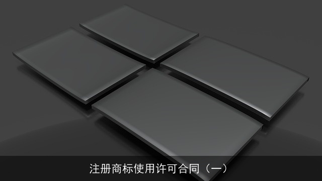 注册商标使用许可合同（一）