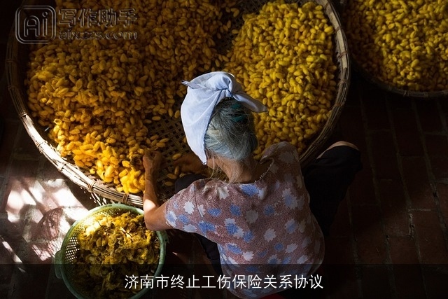 济南市终止工伤保险关系协议