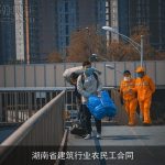 湖南省建筑行业农民工合同