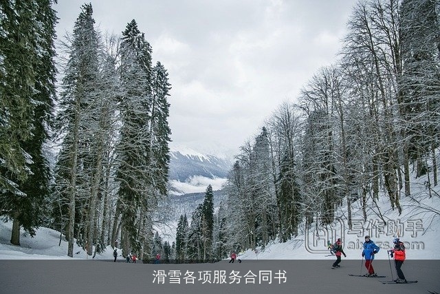 滑雪各项服务合同书