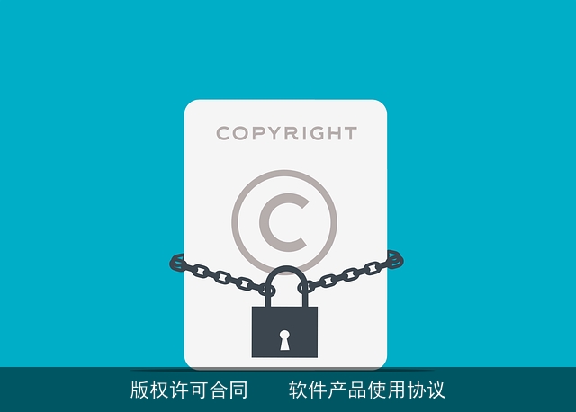 版权许可合同    软件产品使用协议