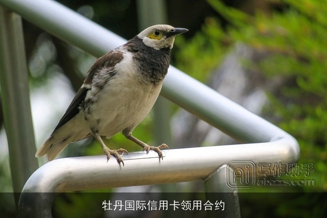 牡丹国际信用卡领用合约