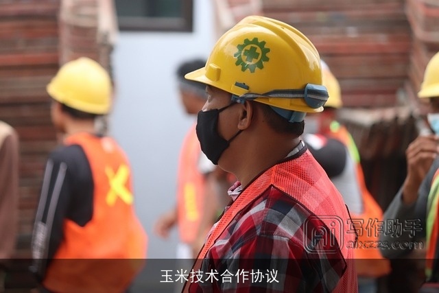 玉米技术合作协议