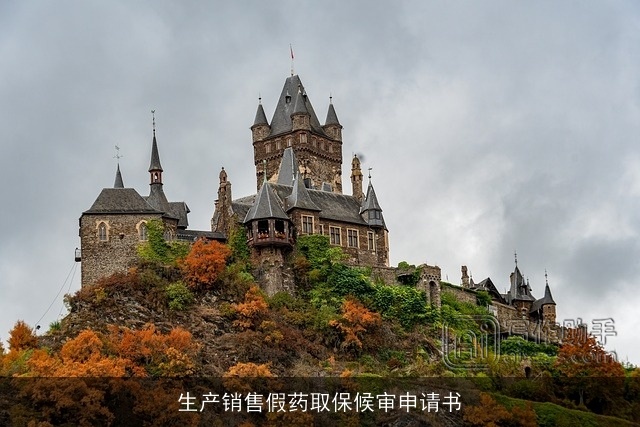 生产销售假药取保候审申请书