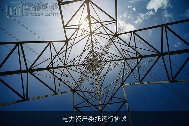 电力资产委托运行协议