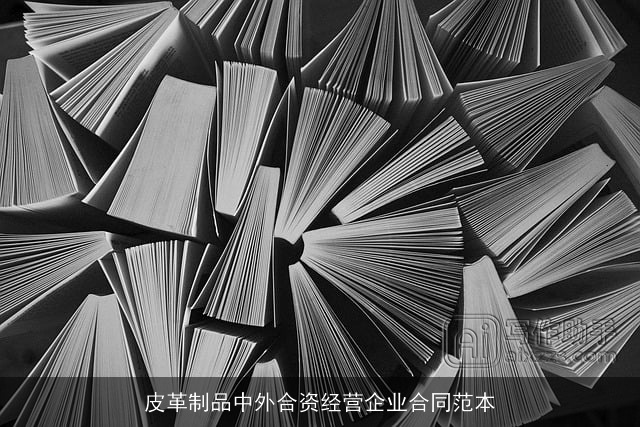 皮革制品中外合资经营企业合同范本