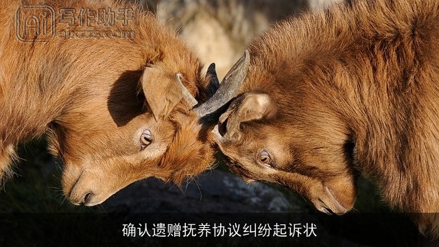 确认遗赠抚养协议纠纷起诉状